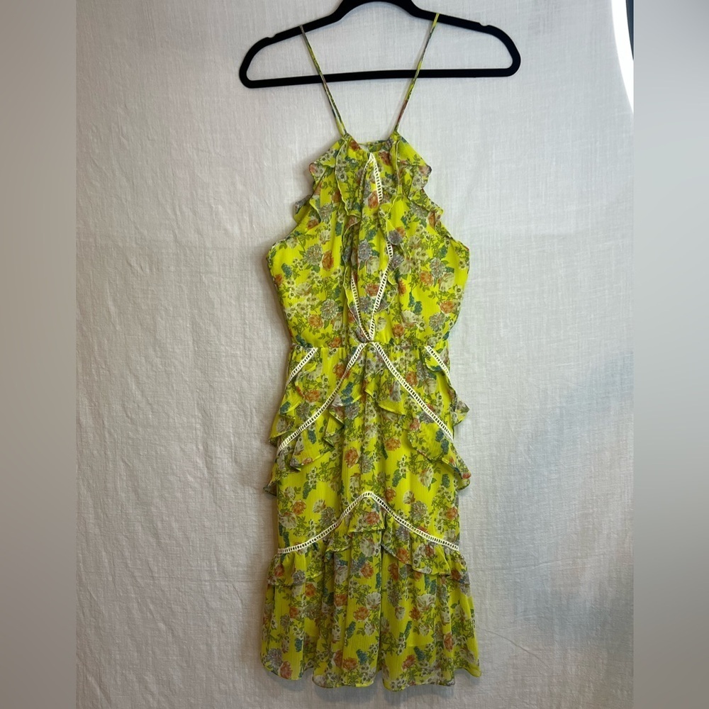 Marissa Webb dress Sz 0  Hourglass. Halter neckline. Sleeveless. Back zipper - Picture 4 of 10